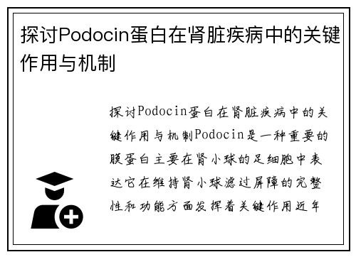 探讨Podocin蛋白在肾脏疾病中的关键作用与机制